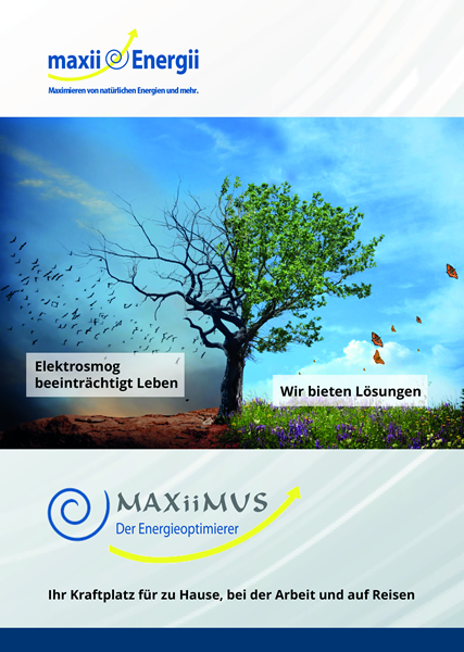 Broschüre: MAXiiMUS - Der Energieoptimierer 